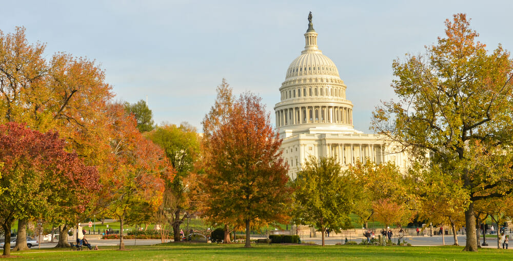 Washington DC Capital Building